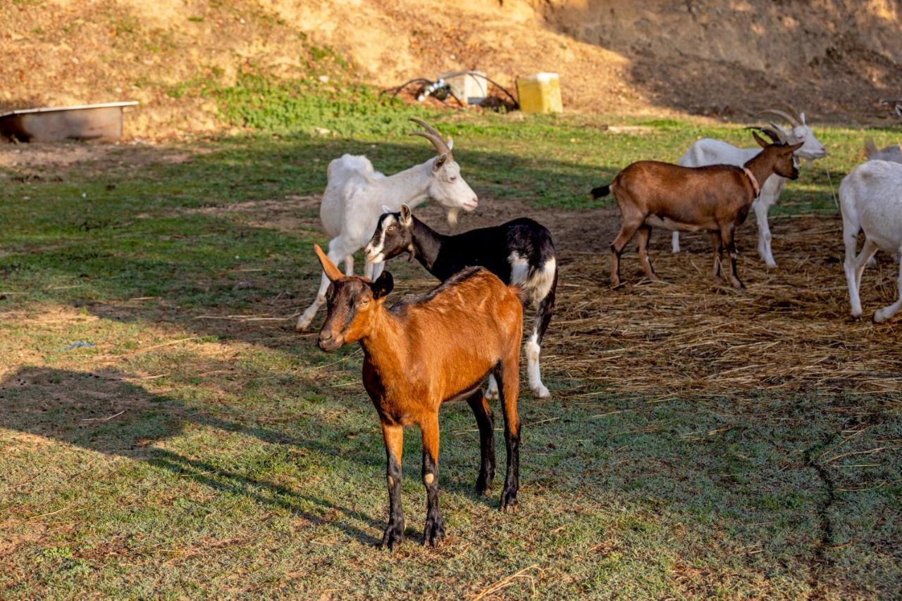 Agriturismo Cascina Trevo Spotorno Eksteriør bilde